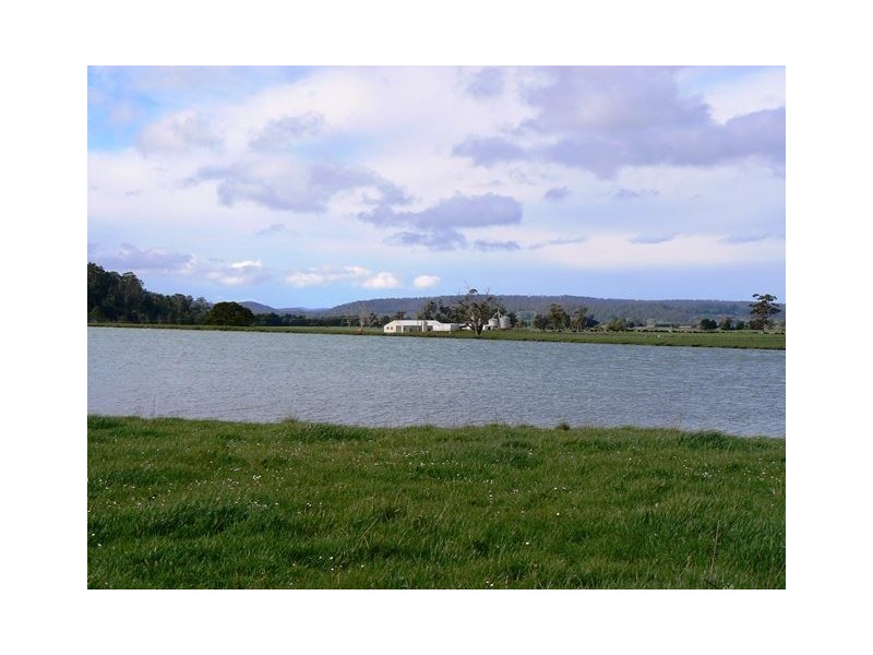 1037 Dairy Plains Road, Western Creek TAS 7304
