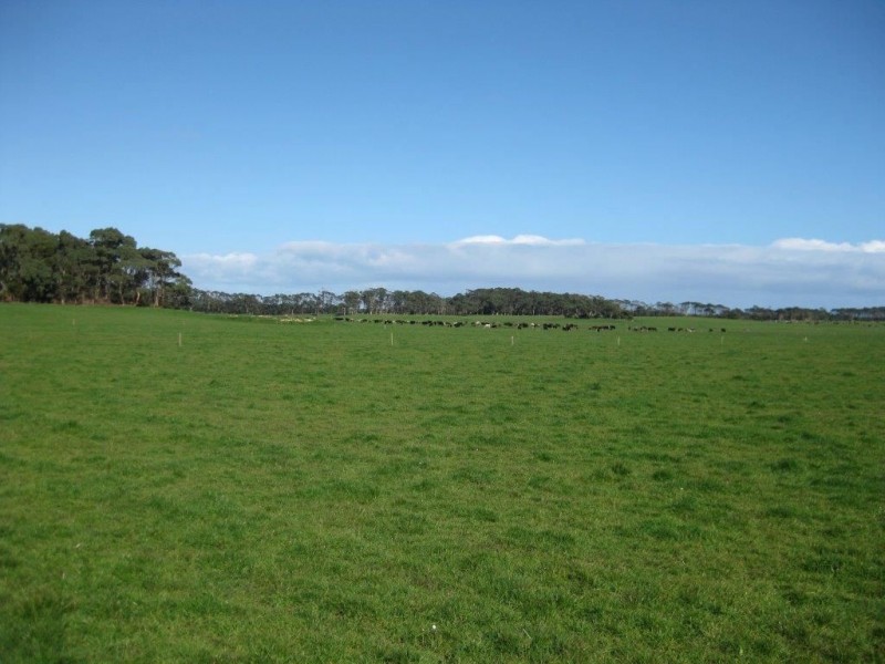 1000 Acres Linnanes Road, Redpa TAS 7330