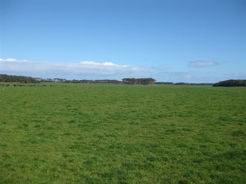 1000 Acres Linnanes Road, Redpa TAS 7330