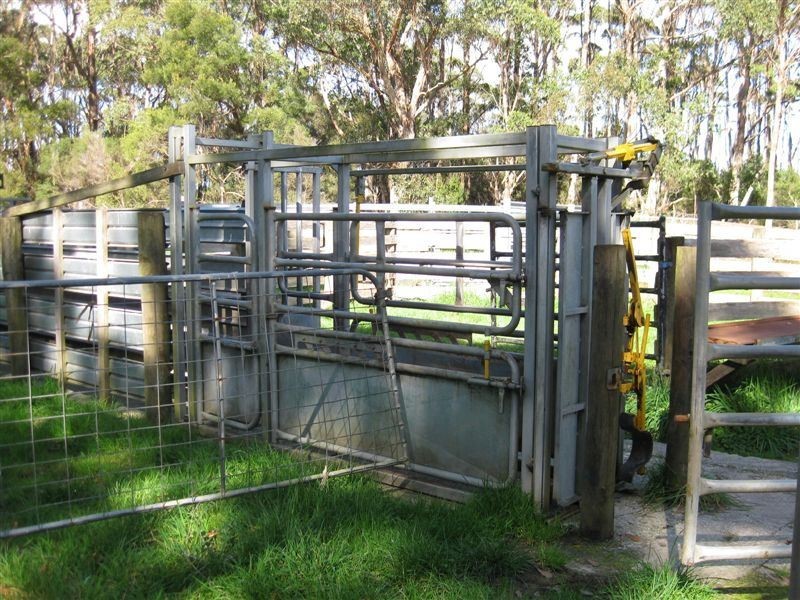 1000 Acres Linnanes Road, Redpa TAS 7330