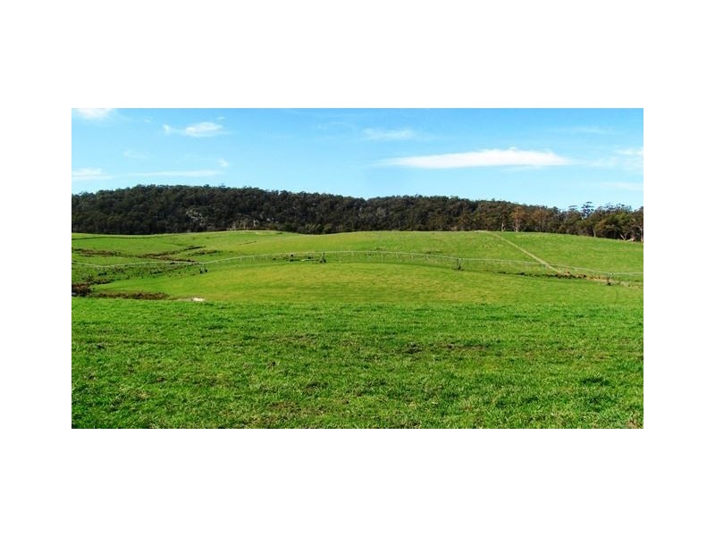 83 Annie Street, St Helens TAS 7216