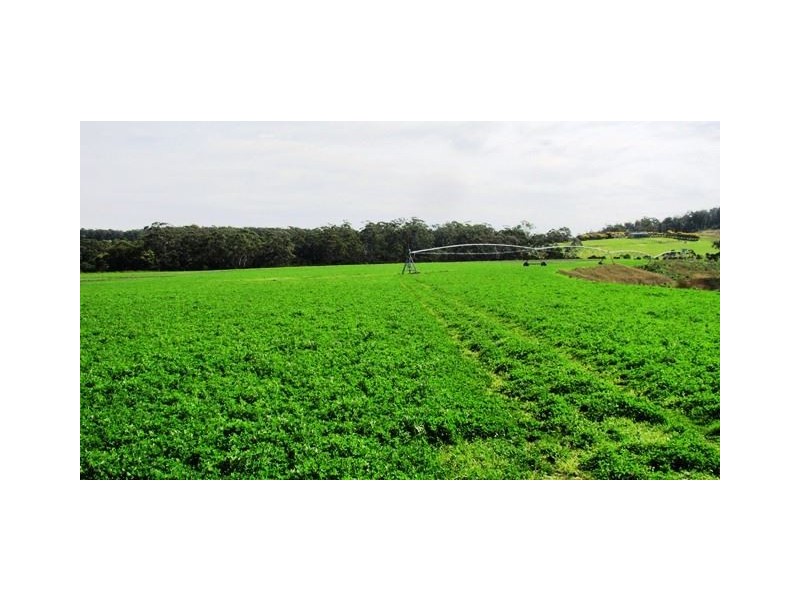 83 Annie Street, St Helens TAS 7216