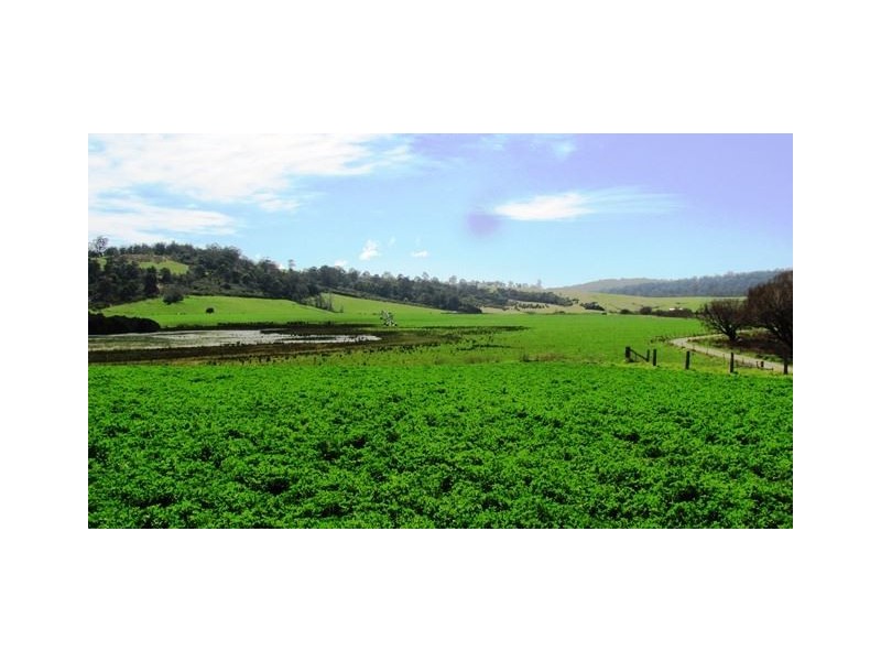 83 Annie Street, St Helens TAS 7216