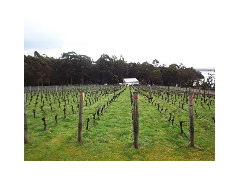 16 Fleurtys Lane, Flowerpot TAS 7163