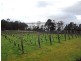 16 Fleurtys Lane, Flowerpot TAS 7163