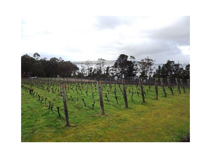 16 Fleurtys Lane, Flowerpot TAS 7163