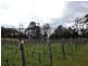 16 Fleurtys Lane, Flowerpot TAS 7163