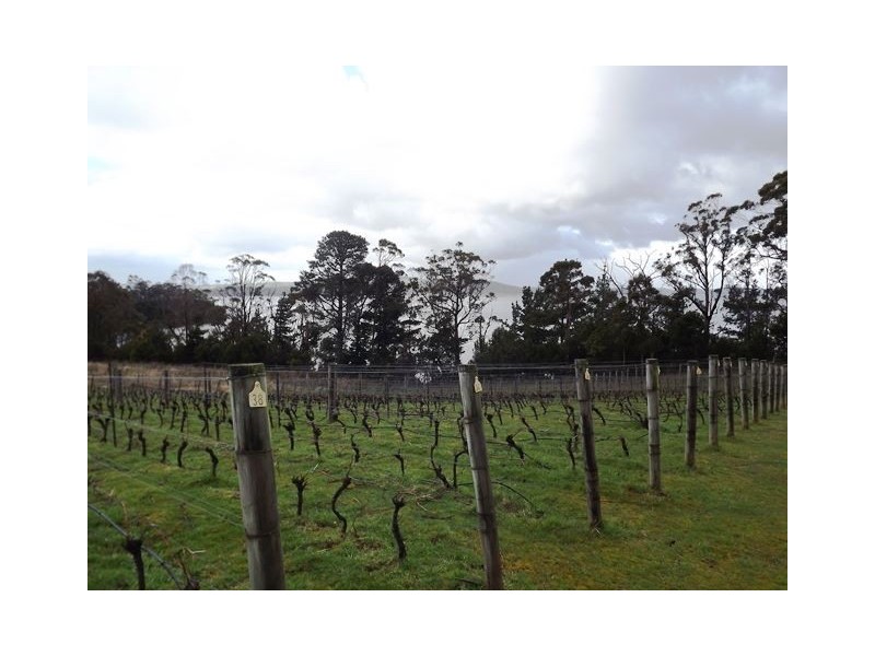 16 Fleurtys Lane, Flowerpot TAS 7163