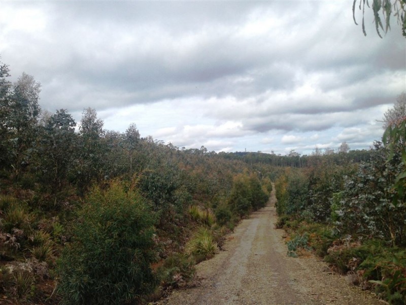 270 Bardenhagen Road, Mount Direction TAS 7252