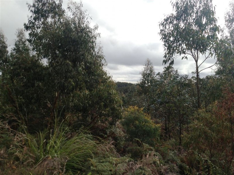 270 Bardenhagen Road, Mount Direction TAS 7252