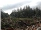 270 Bardenhagen Road, Mount Direction TAS 7252