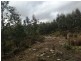 270 Bardenhagen Road, Mount Direction TAS 7252