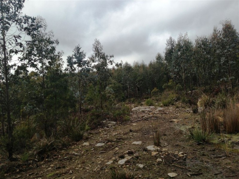 270 Bardenhagen Road, Mount Direction TAS 7252