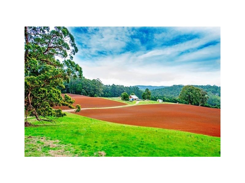 83 Camerons Road, Moorleah TAS 7325