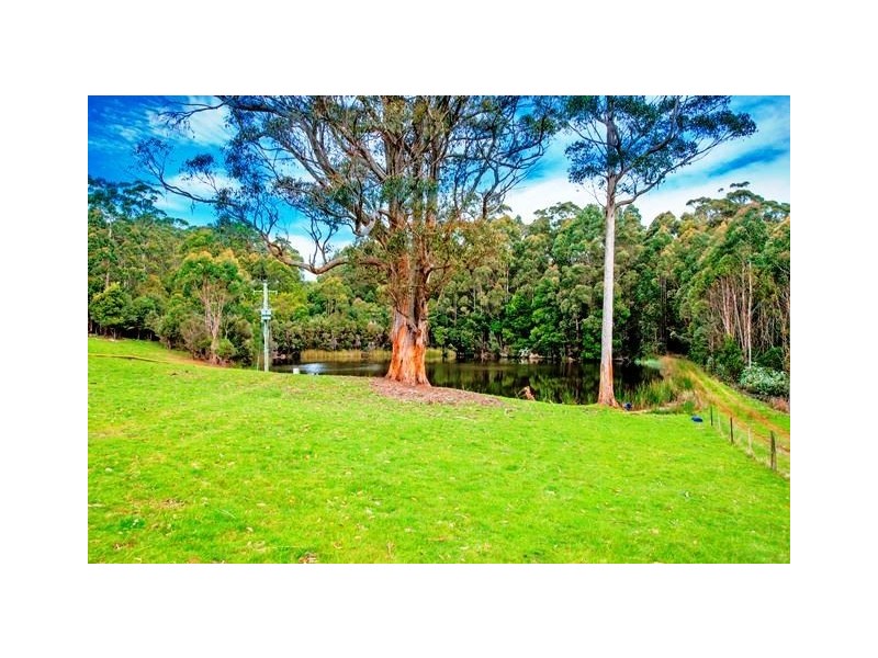 83 Camerons Road, Moorleah TAS 7325