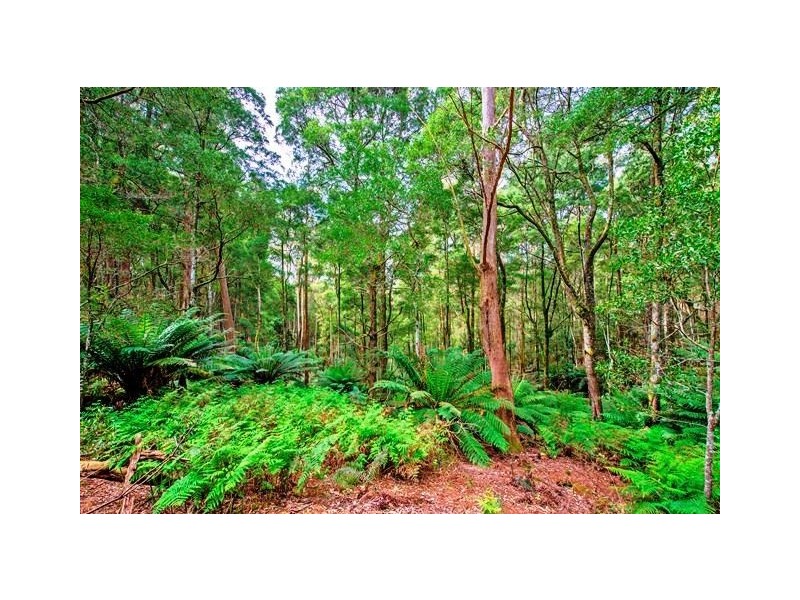 83 Camerons Road, Moorleah TAS 7325