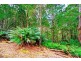 83 Camerons Road, Moorleah TAS 7325