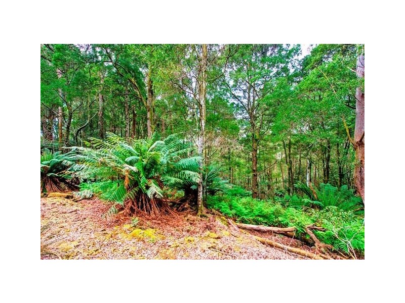 83 Camerons Road, Moorleah TAS 7325