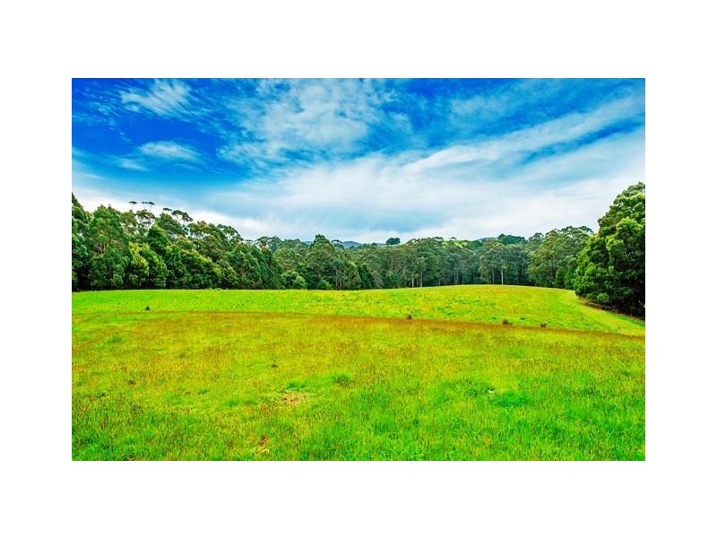 83 Camerons Road, Moorleah TAS 7325