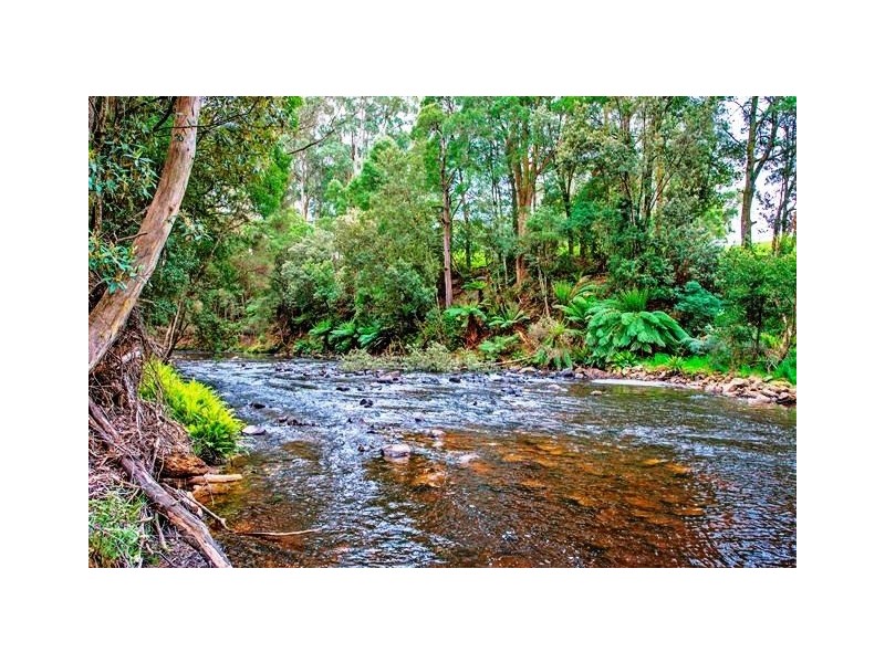 83 Camerons Road, Moorleah TAS 7325