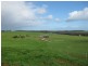 249 Maguires Road, Nabageena TAS 7330