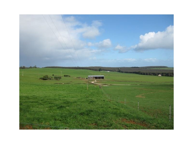 249 Maguires Road, Nabageena TAS 7330