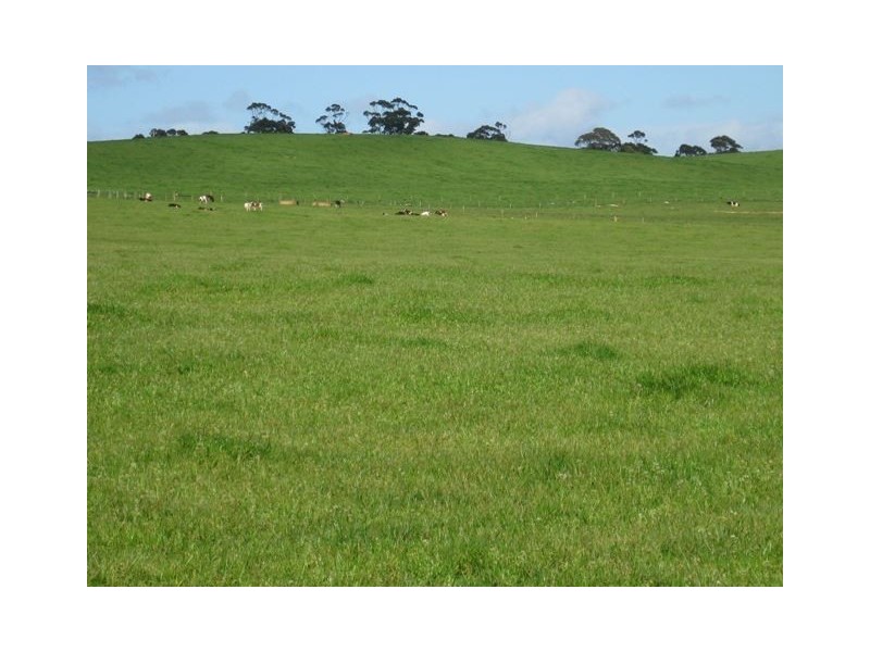 249 Maguires Road, Nabageena TAS 7330