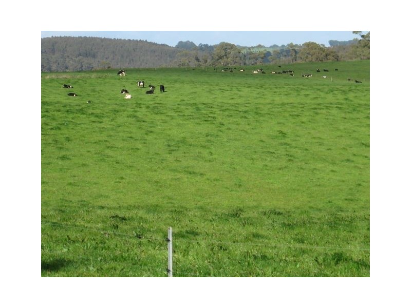 249 Maguires Road, Nabageena TAS 7330