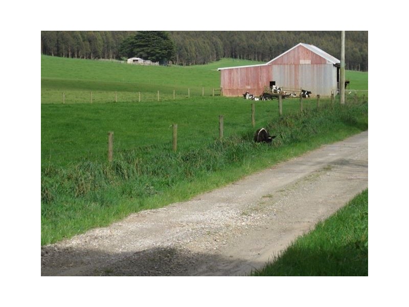 249 Maguires Road, Nabageena TAS 7330