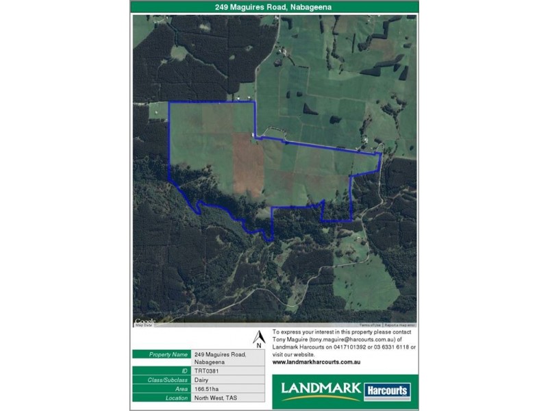 249 Maguires Road, Nabageena TAS 7330