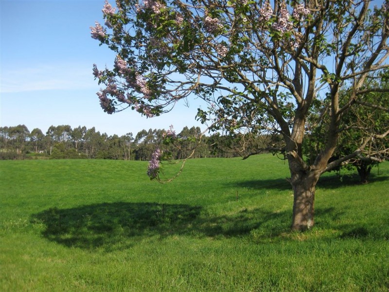 240 Montumana Road, Rocky Cape TAS 7321