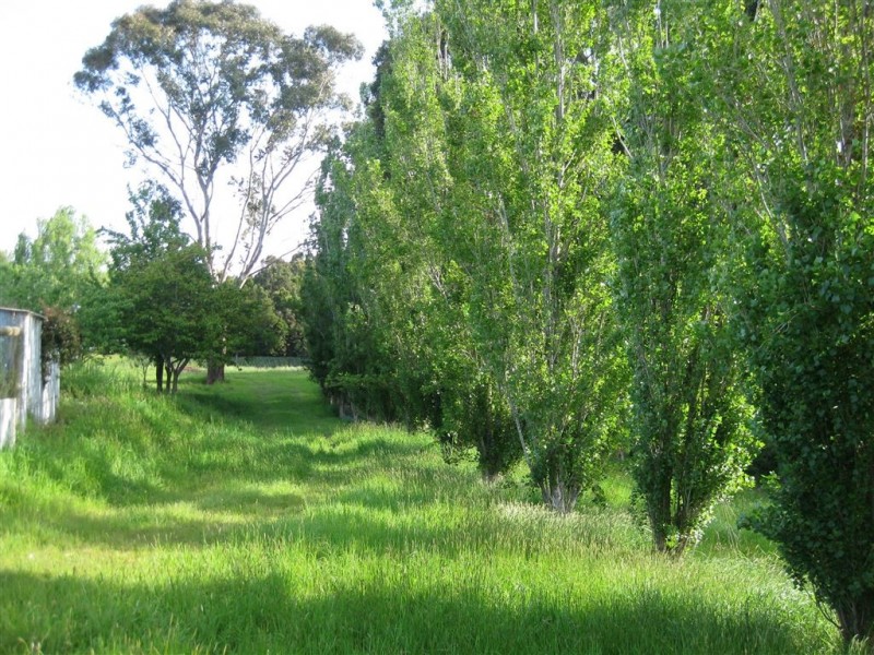 240 Montumana Road, Rocky Cape TAS 7321