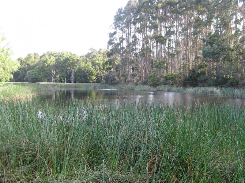 240 Montumana Road, Rocky Cape TAS 7321