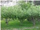 240 Montumana Road, Rocky Cape TAS 7321