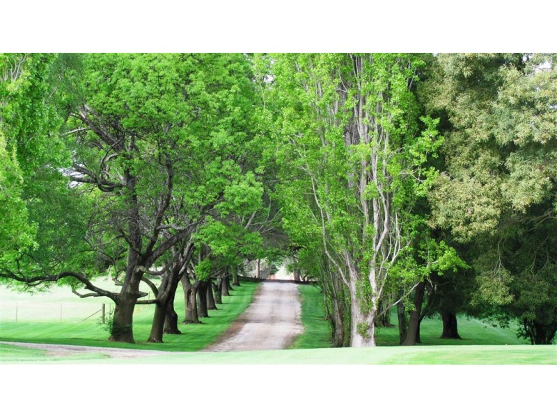 643 Glen Esk Road, Conara TAS 7211