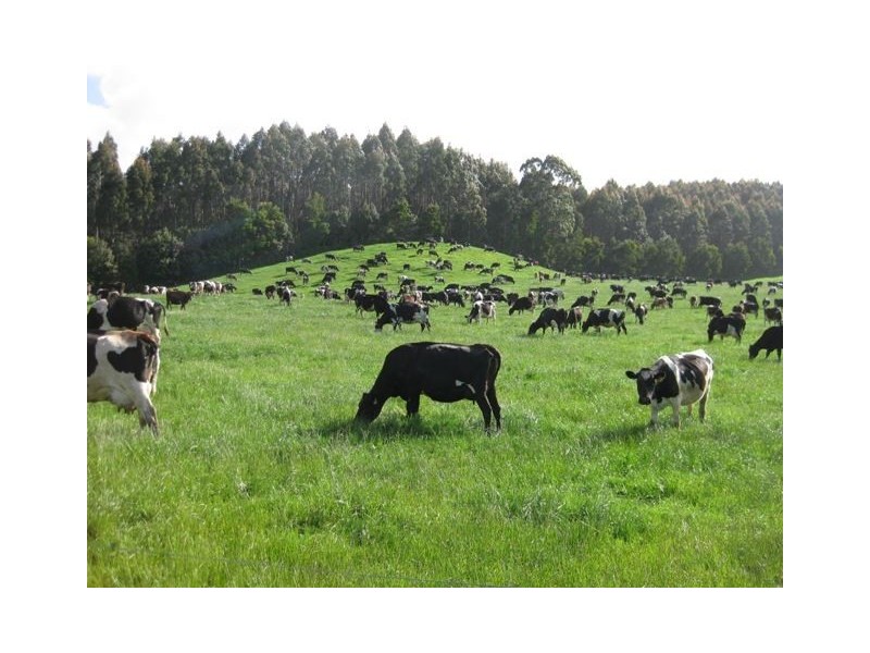 109 Bartletts Road, Mawbanna TAS 7321