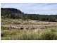 740 Honeysuckle Road, Ross TAS 7209