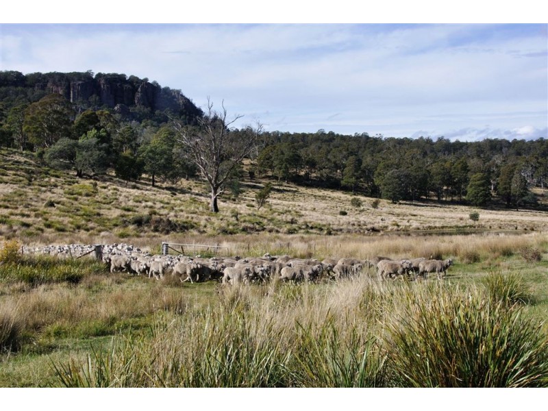 740 Honeysuckle Road, Ross TAS 7209