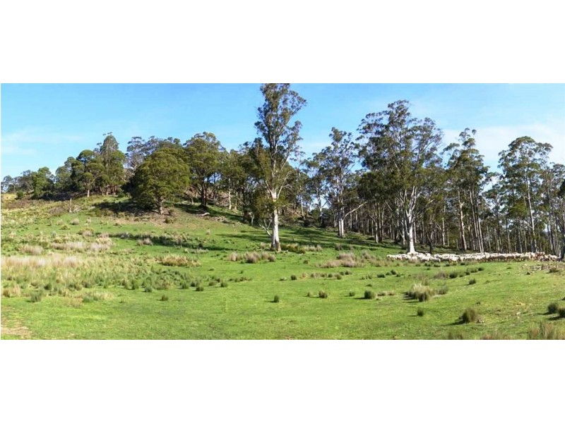 740 Honeysuckle Road, Ross TAS 7209