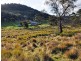 740 Honeysuckle Road, Ross TAS 7209