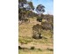 740 Honeysuckle Road, Ross TAS 7209