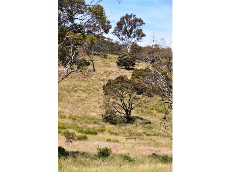 740 Honeysuckle Road, Ross TAS 7209