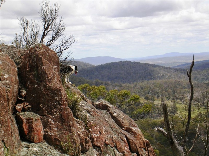740 Honeysuckle Road, Ross TAS 7209