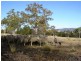 740 Honeysuckle Road, Ross TAS 7209