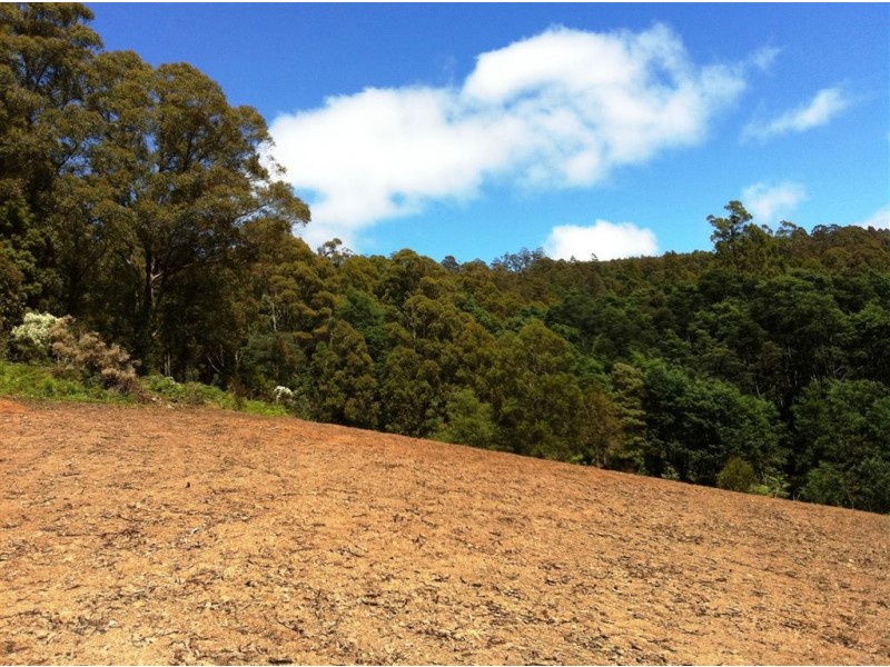 Febeys Road, Sheffield TAS 7306