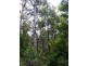 Febeys Road, Sheffield TAS 7306