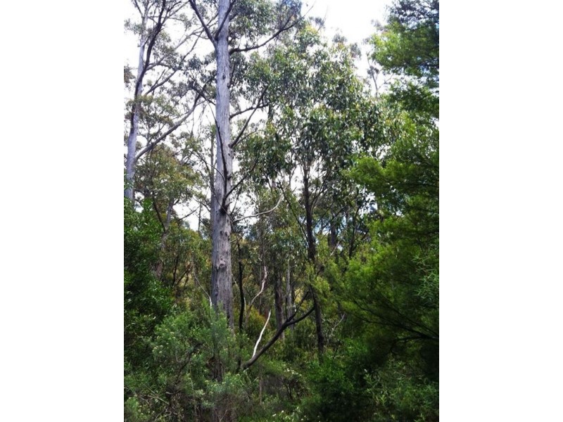 Febeys Road, Sheffield TAS 7306