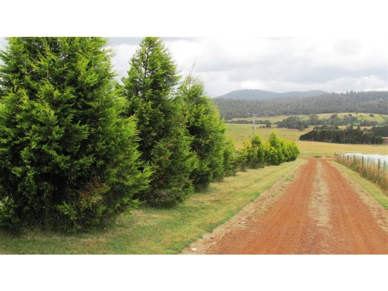 1024 Windemere Road, Swan Bay TAS 7252