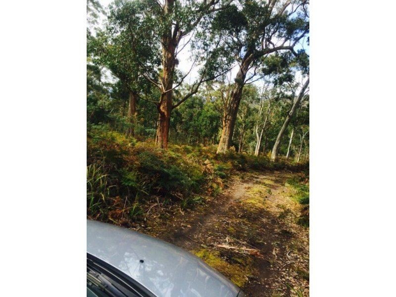. Gully Road Fentonbury, Westerway TAS 7140