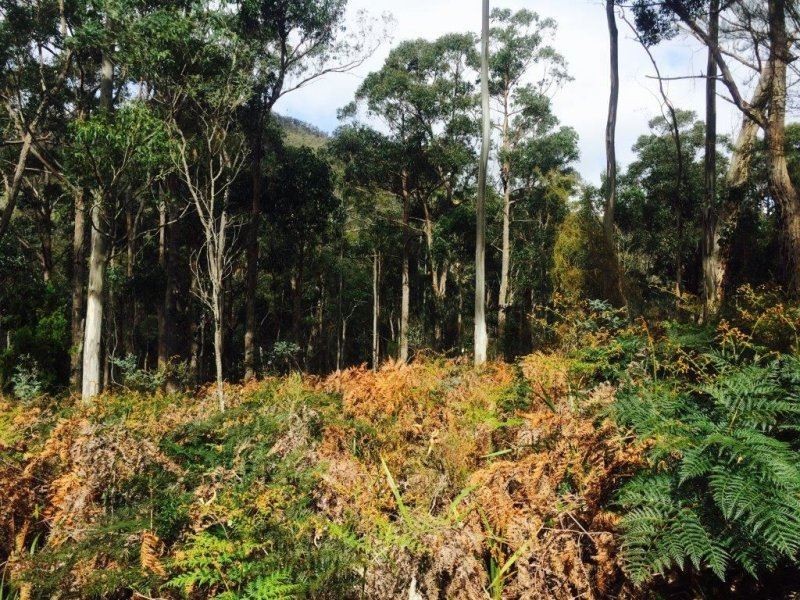 . Gully Road Fentonbury, Westerway TAS 7140